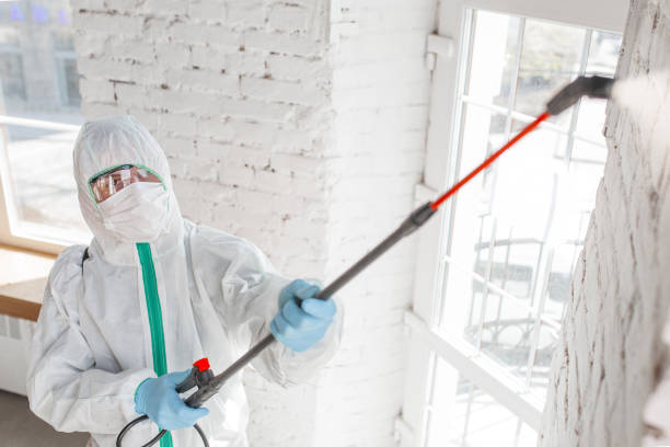 Environmental Consulting for Mold Prevention in Monroe, GA